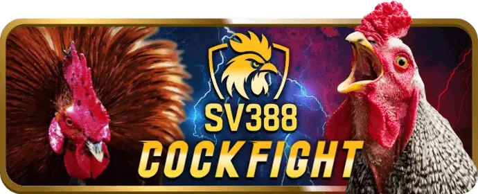 Đội ngũ chuyên gia J888